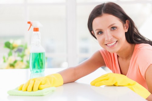 Westminster carpet cleaners restoring a home carpet