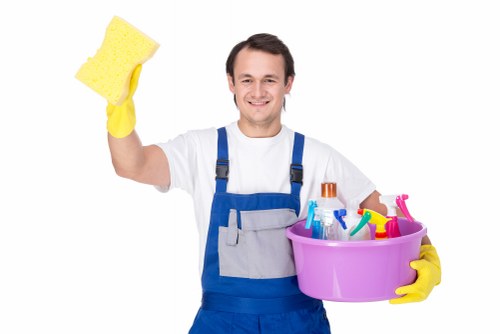 Professional sofa cleaning in a modern living room
