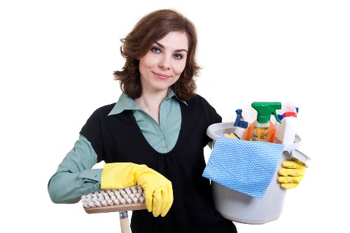Professional carpet treatment for pet odor removal